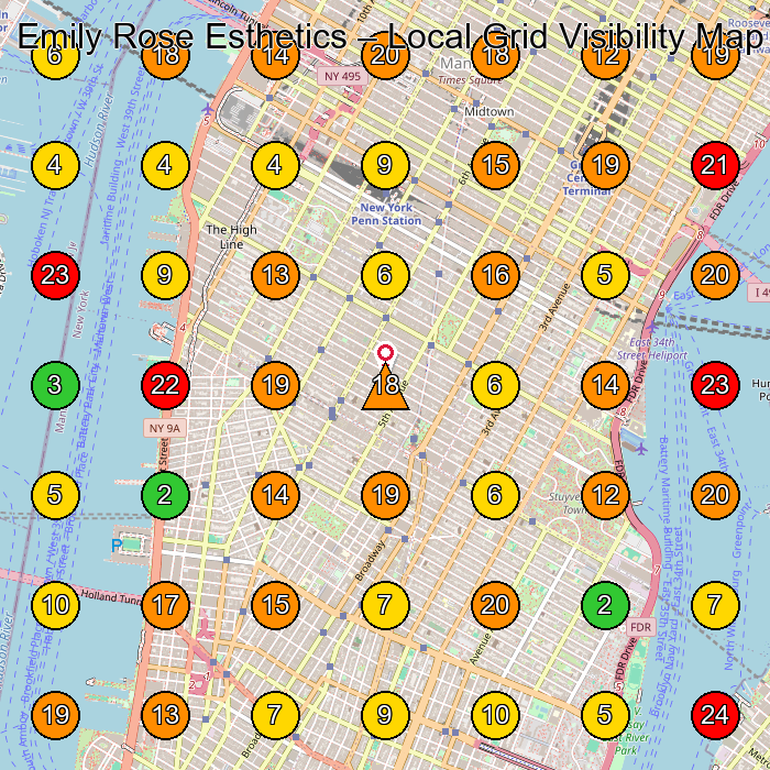 Emily Rose Esthetics Facial Spa GeoGrid ranking map for New York NY